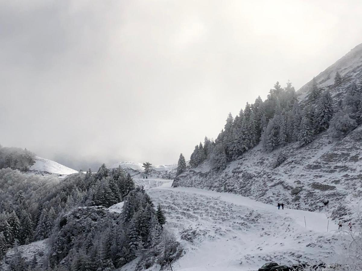 Chateau Porthos Tranquillite Des Pyrenees 拉讷 外观 照片