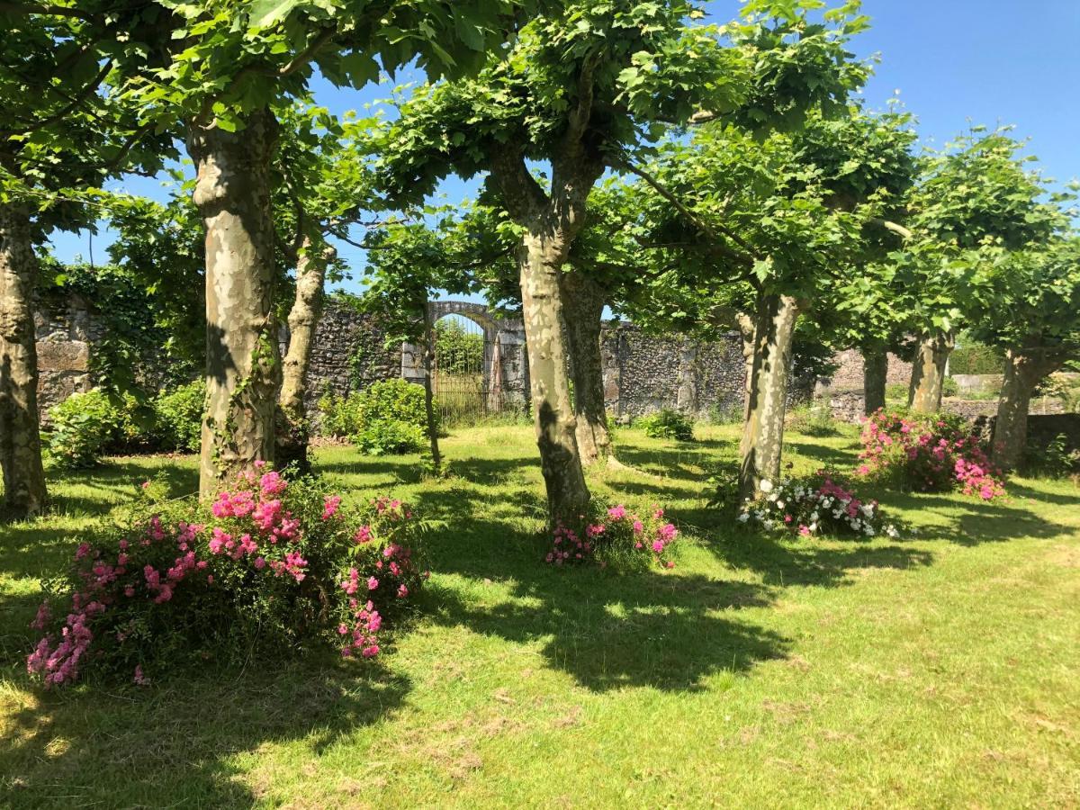 Chateau Porthos Tranquillite Des Pyrenees 拉讷 外观 照片