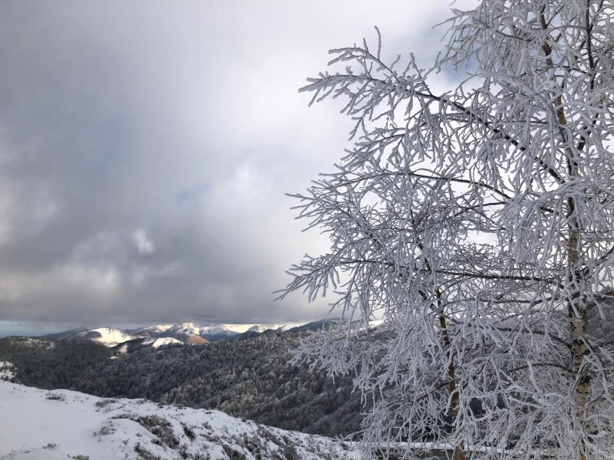 Chateau Porthos Tranquillite Des Pyrenees 拉讷 外观 照片